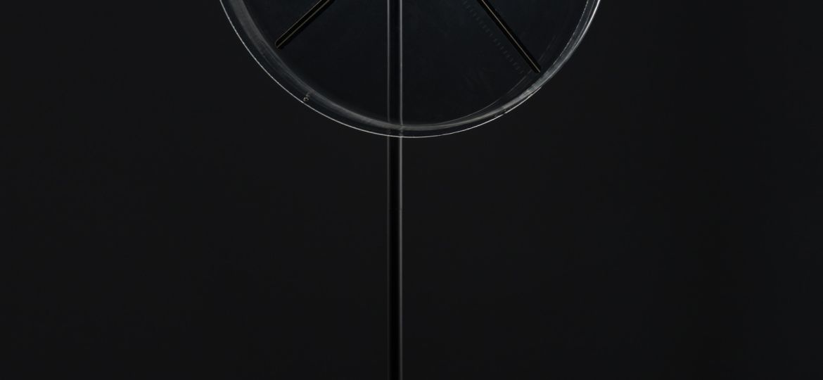 XLUX_GMF0186